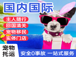 临汾机场物流国际宠物托运 【国